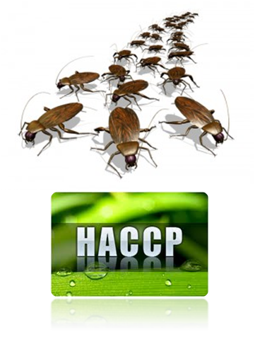 Insecte HACCP